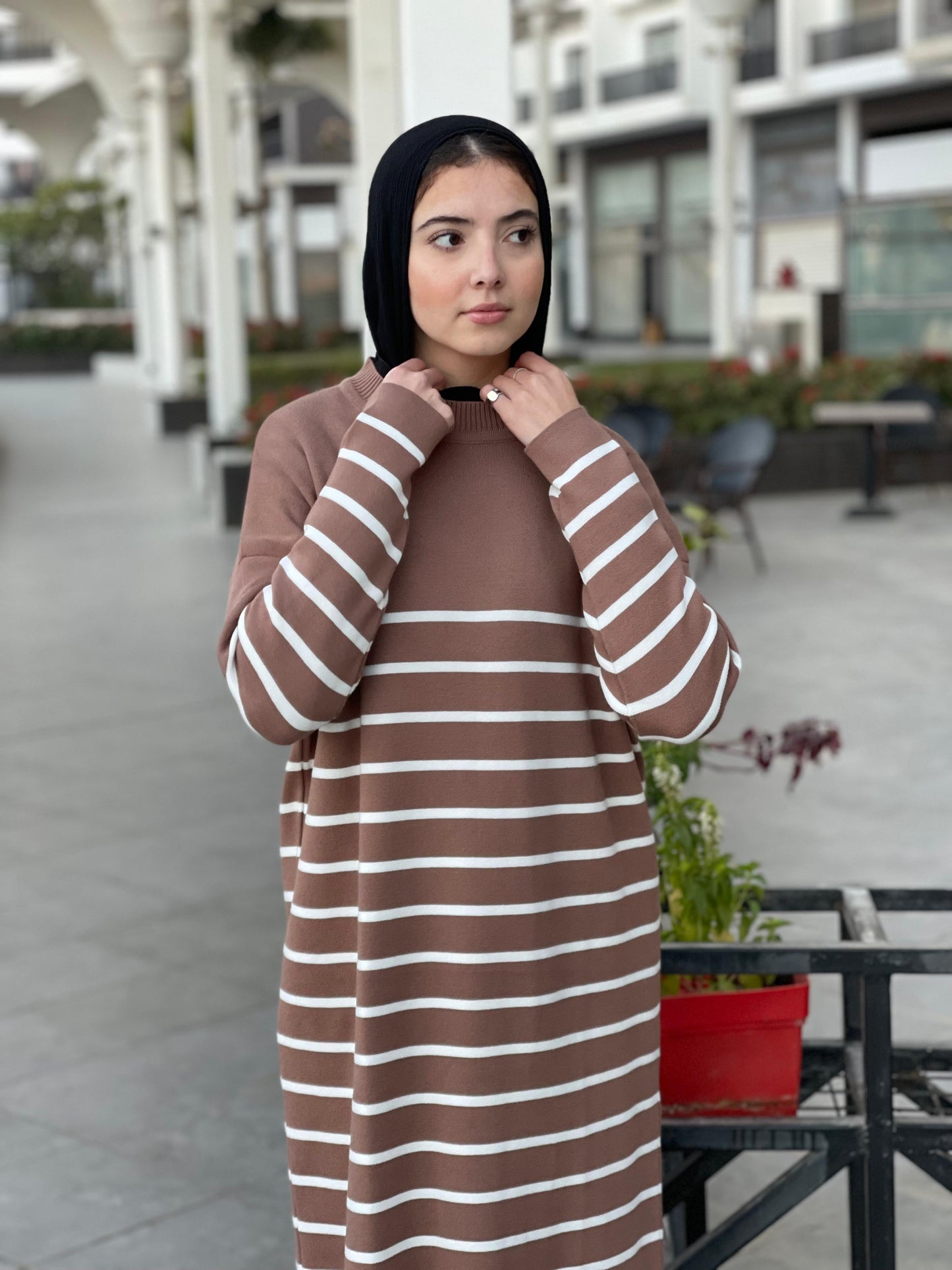 Stripped Dress in brown