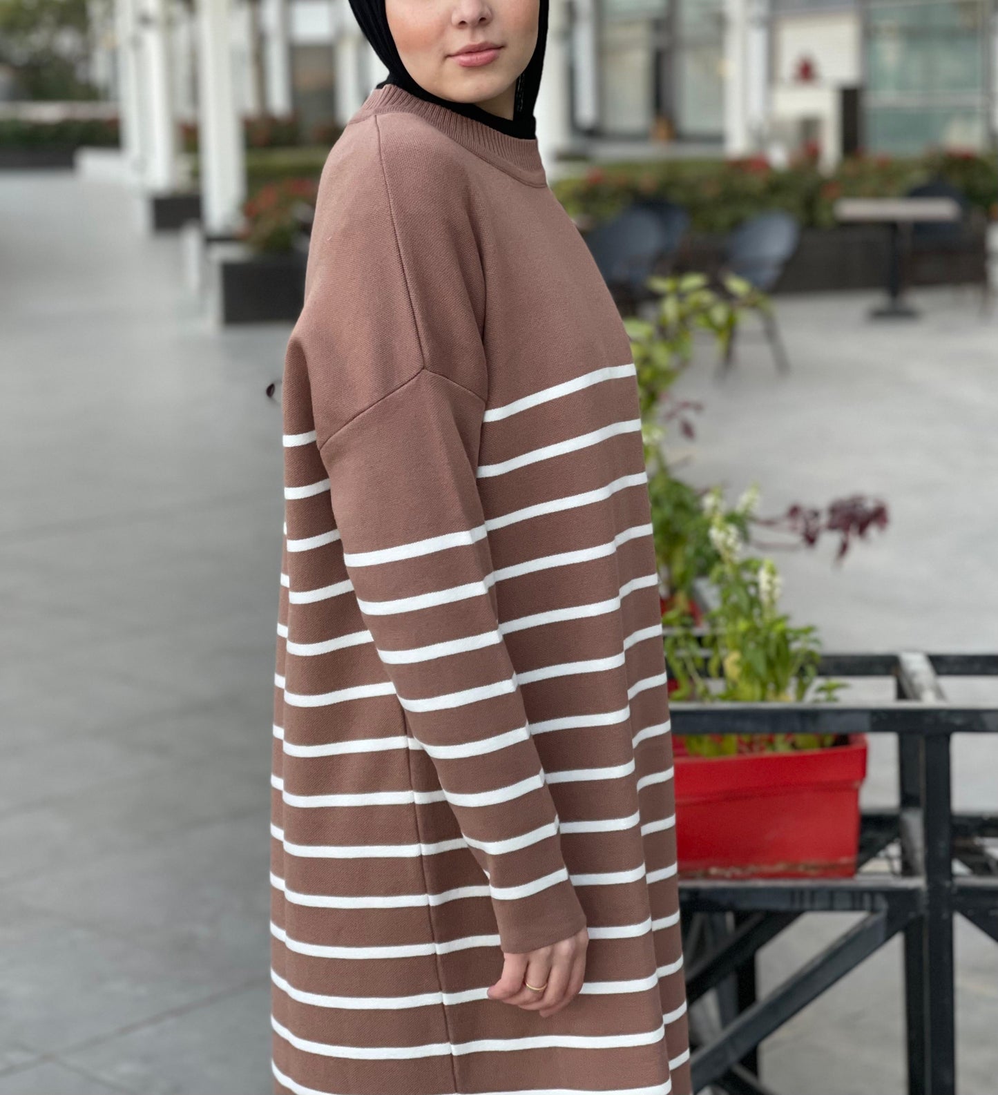 Stripped Dress in brown