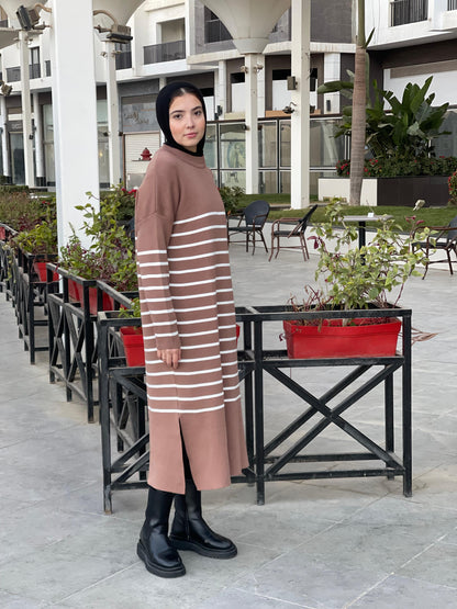 Stripped Dress in brown